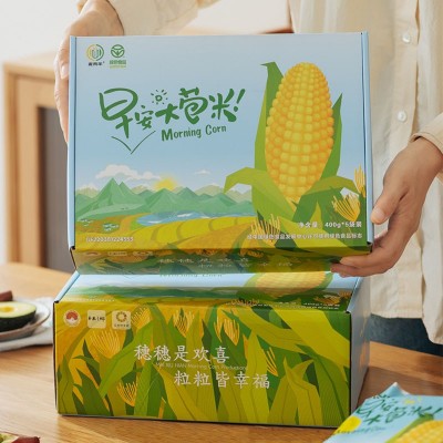 早安大苞米第五季东北黄糯玉米真空包装加热即食整箱10穗礼盒装图2