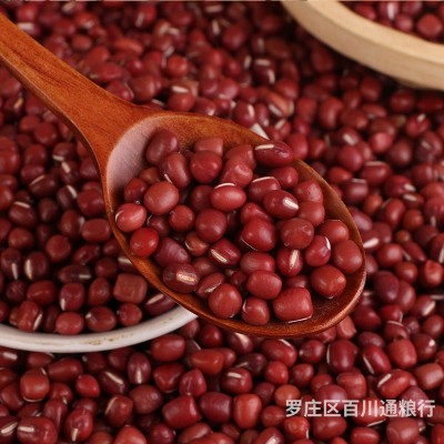 批发大粒红豆 农家红小豆非赤小豆大红豆 五谷杂粮豆类代加工图3