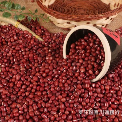 批发大粒红豆 农家红小豆非赤小豆大红豆 五谷杂粮豆类代加工图4