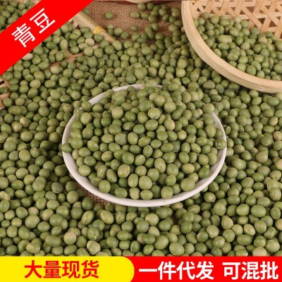 批发生青豆 东北农家双青豆绿大豆小粒青豆五谷杂粮小青皮豆25kg