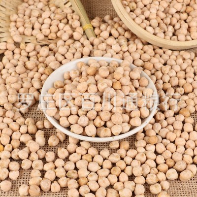 供应批发鹰嘴豆 鸡心豆生豆天麻子豆五谷杂粮新疆特产豆类粗粮