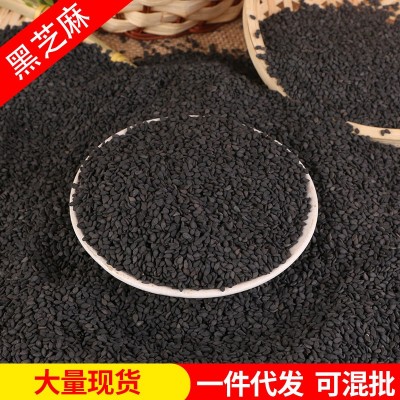 批发黑芝麻农家自种生黑芝麻现货袋装可榨油磨粉黑芝麻五谷杂粮