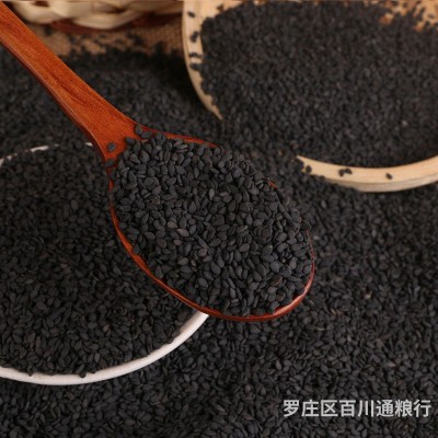 批发黑芝麻农家自种生黑芝麻现货袋装可榨油磨粉黑芝麻五谷杂粮图2