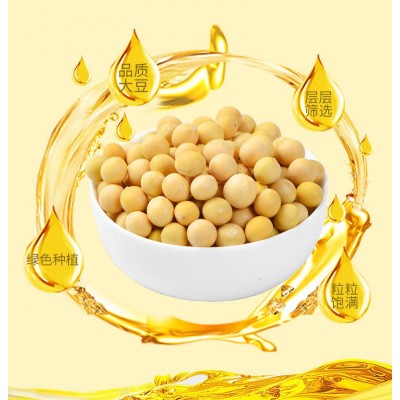萱香非转基因大豆油2.7升食用植物油家用烹饪炒菜大桶厂家批发图4