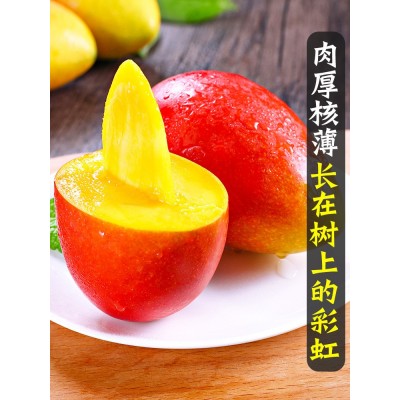 海南贵妃芒大芒果新鲜应当季水果热带树上熟红甜心芒5整箱包邮图3