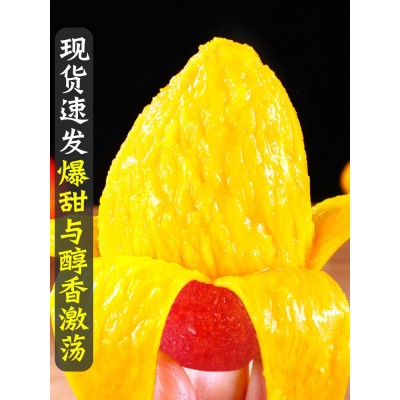 海南贵妃芒大芒果新鲜应当季水果热带树上熟红甜心芒5整箱包邮图2