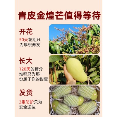 海南金煌芒水仙芒果新鲜水果热带三亚特产整箱包邮特大果亡忙图2