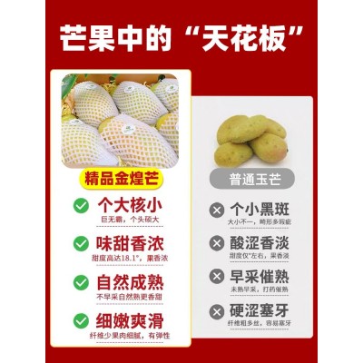 海南金煌芒水仙芒果新鲜水果热带三亚特产整箱包邮特大果亡忙图3