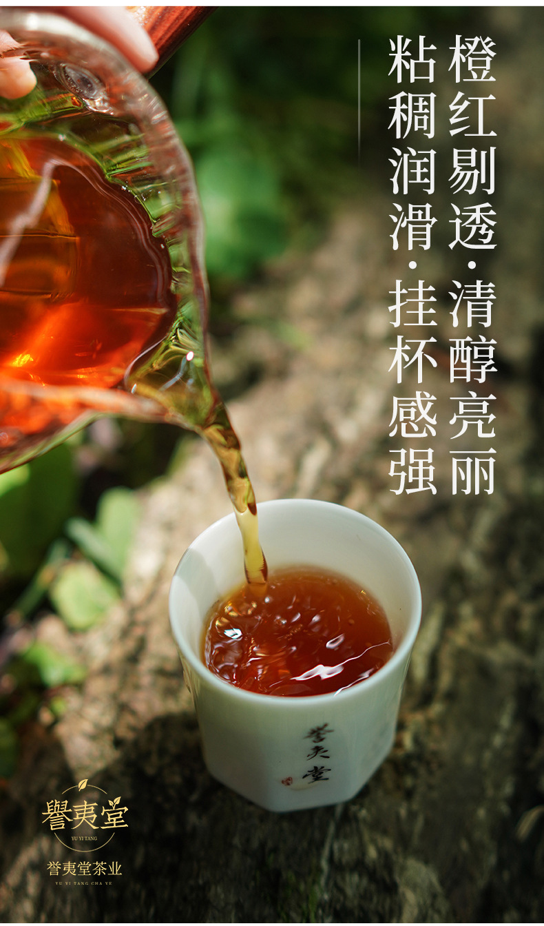 誉夷堂肉桂_11