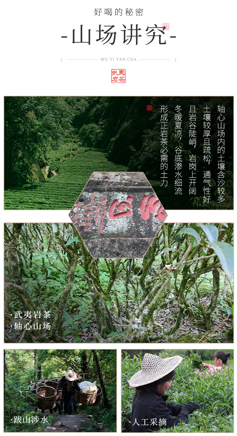 誉夷堂肉桂_06