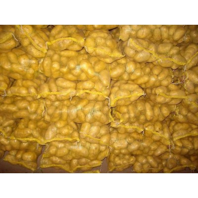 长期供应 土豆，马铃薯 价格优惠，欢迎咨询图5
