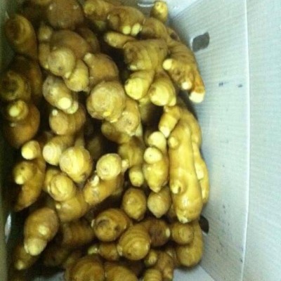 长期供应生姜 量大从优 欢迎咨询 大量订购 价格优惠图3