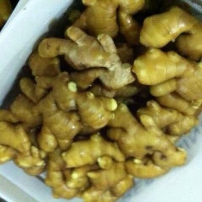 长期供应生姜 量大从优 欢迎咨询 大量订购 价格优惠图4