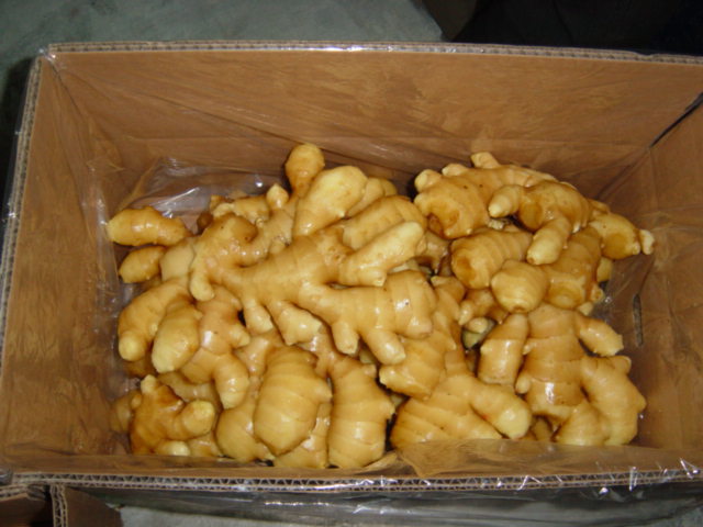 fresh Ginger