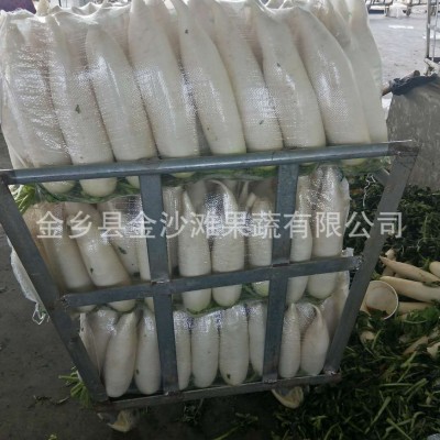 厂家供应白萝卜 ，量大优惠 白萝卜 欢迎大量选购图2