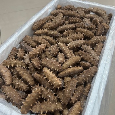 包邮极鲜大连即食海参辽刺参礼盒 大连鲜食海参 海参即食海参批发图2