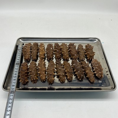包邮极鲜大连即食海参辽刺参礼盒 大连鲜食海参 海参即食海参批发图4