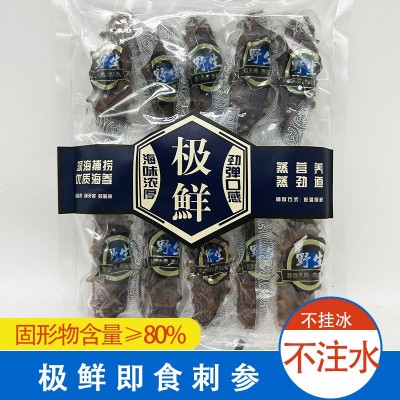包邮极鲜大连即食海参辽刺参礼盒 大连鲜食海参 海参即食海参批发