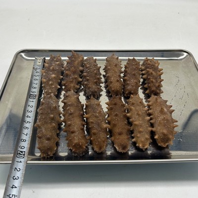 包邮极鲜大连即食海参辽刺参礼盒 大连鲜食海参 海参即食海参批发图3