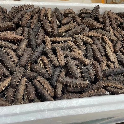 大连海参干海参辽参海鲜干货500克 大连冻干海参干货散装批发图3