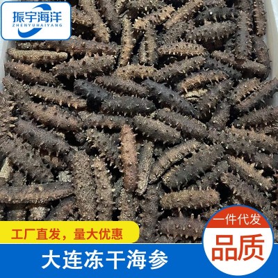 大连海参干海参辽参海鲜干货500克 大连冻干海参干货散装批发