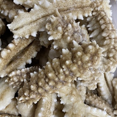厂家批发即食海参4-10头500g印尼刺王加热即食质量保障量大从优图3
