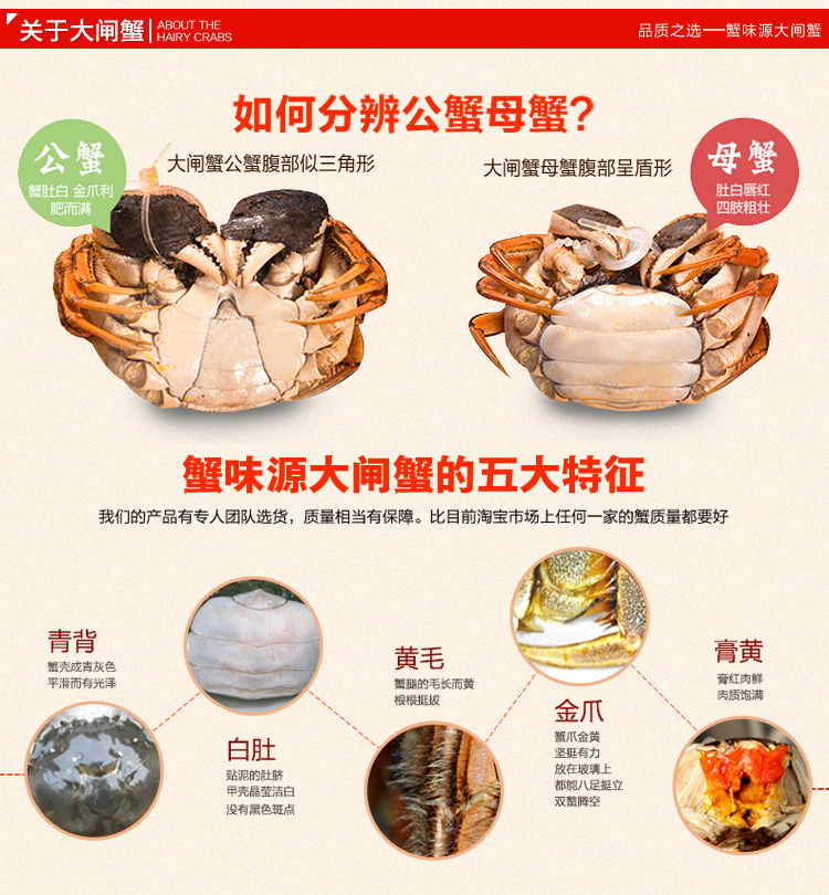 拍前必读