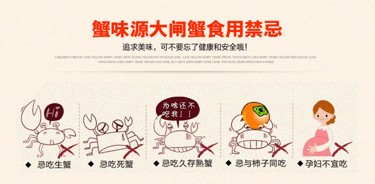 速度.jpg