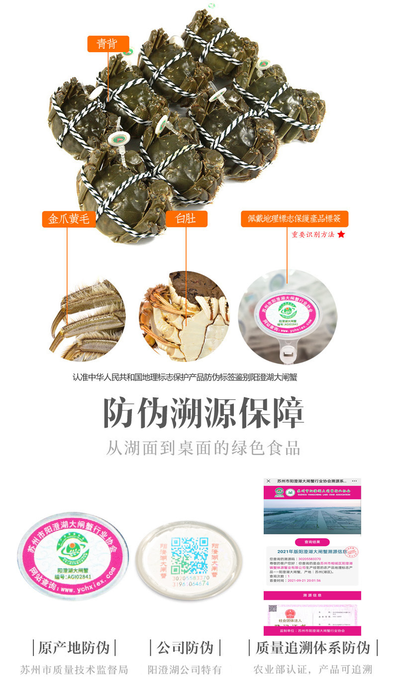 suyuan2