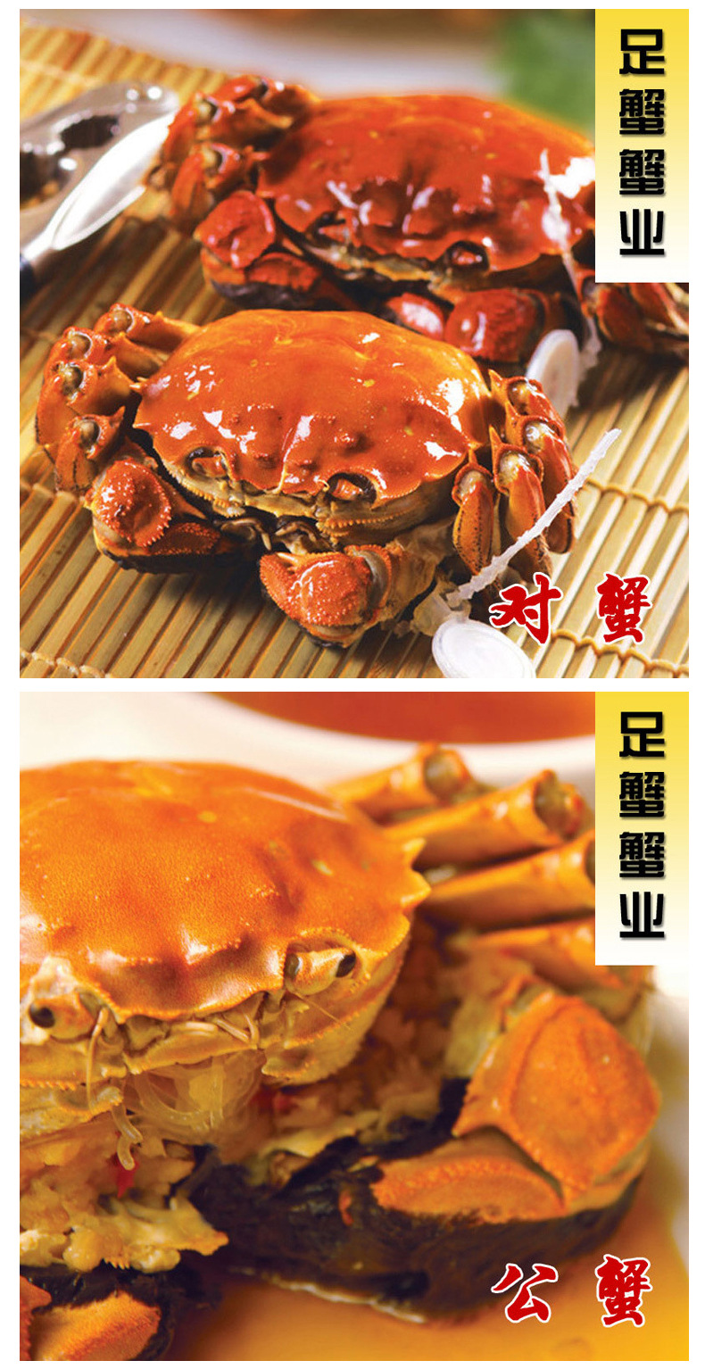 蟹卡详情_04