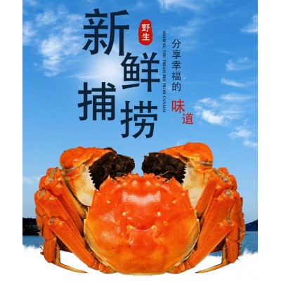 活蟹大闸蟹公4.0两母3.0两5对装图4