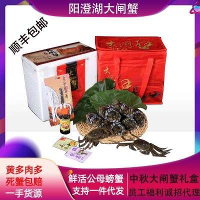 厂家供应大闸蟹对蟹 公4.3-4.0两 母3.3-3.0两 中秋礼品现货包邮