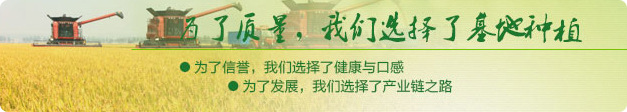 为了质量