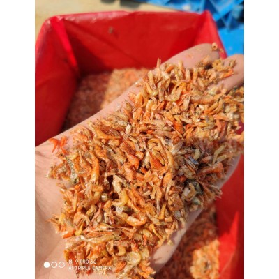 乌龟饲料淡水虾干巴西龟粮幼龟食物小龟粮包邮虾干1箱5斤图2