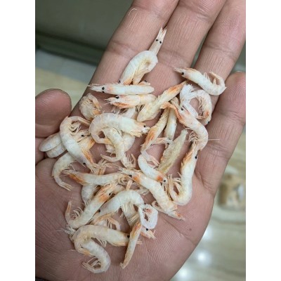 宠物饲料虾干仓鼠粮零食虾干小虾干面包虫鱼干虾干黄粉虫干白虾干图1
