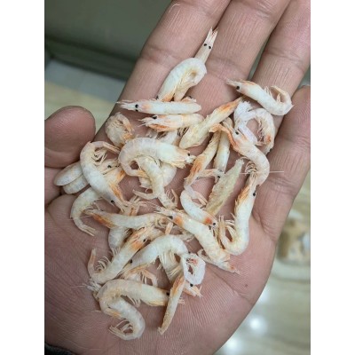 宠物饲料虾干仓鼠粮零食虾干小虾干面包虫鱼干虾干黄粉虫干白虾干图2