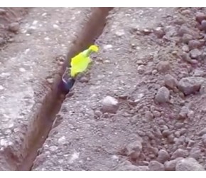 农业发达国家如何种植蔬菜？采用各种先进的秧苗移栽机，高效实用