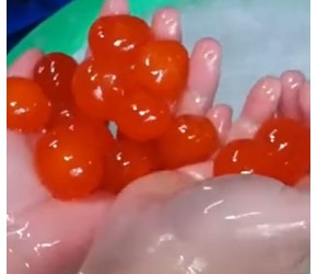 40天就能上桌的鸭子，是怎么养殖的？