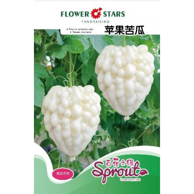 苹果苦瓜种子白色苦瓜种子白癞瓜赖苦瓜种子春季播种爬藤10粒装图1