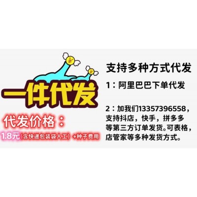 苹果苦瓜种子白色苦瓜种子白癞瓜赖苦瓜种子春季播种爬藤10粒装图2