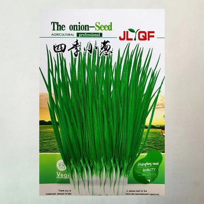 四季小葱种子 小香葱种子四季易种阳台盆栽庭院葱种子家庭菜种子图1
