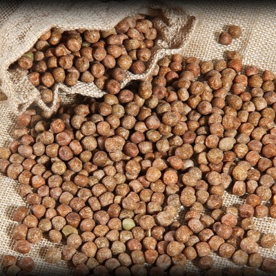 发芽麻豌豆加拿大1号水培豌豆苗龙须菜 芽苗菜种子阳台种菜 500g图3