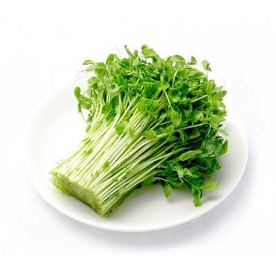 发芽麻豌豆加拿大1号水培豌豆苗龙须菜 芽苗菜种子阳台种菜 500g图5