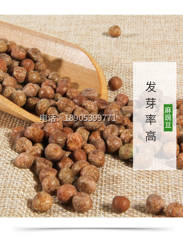 麻豌豆详情_12