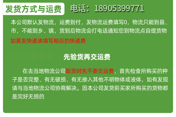 麻豌豆详情_03