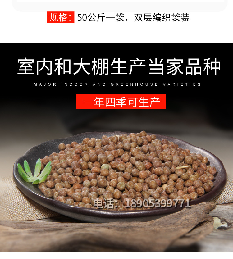 麻豌豆详情_08