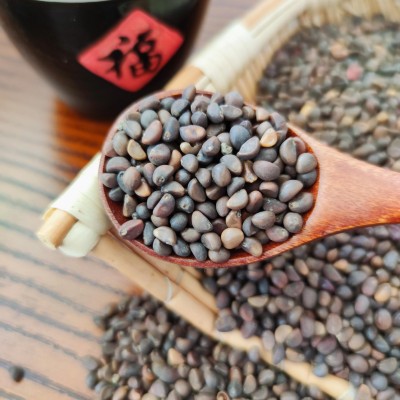 泰国柳叶空心菜蔬菜盆栽芽苗菜种子空心菜水培芽苗菜种子一件一斤图1