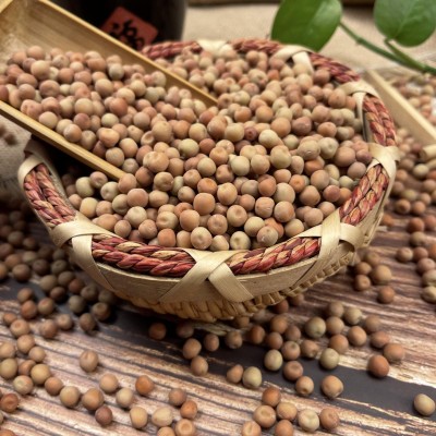 批发红玉豌豆种子 水培豌豆芽苗菜种子澳洲红麻豌豆种子 量大价优图4