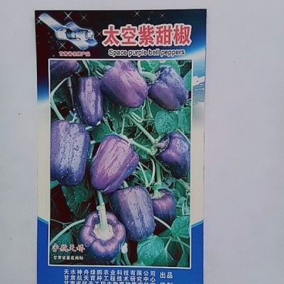 厂家批发 太空紫甜椒 20粒/袋 观赏兼食用图4
