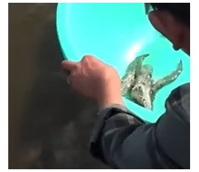 水产养殖中，天热为何多开增氧机，天冷为何少开增氧机？